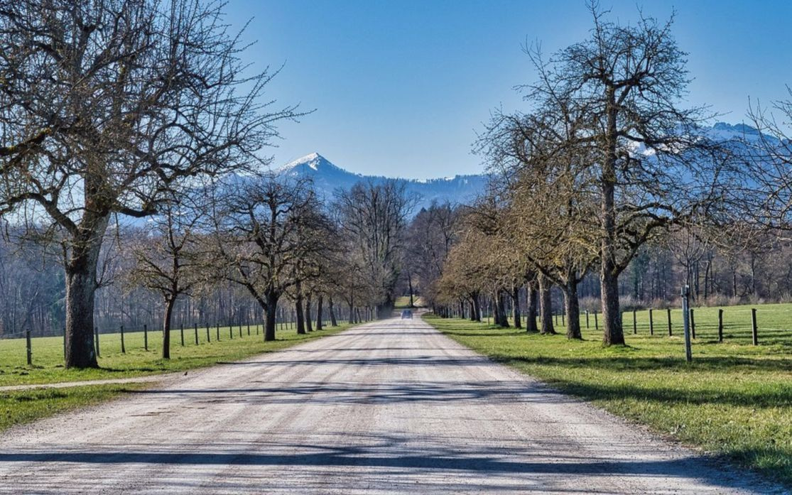 A entrada da Fazenda em um dia ensolarado, com Árvore centenária ao fundo